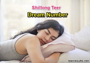 Shillong Teer DREAM NUMBER List (100% Success Rate)